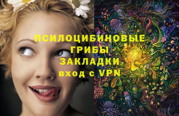 кокаин Белокуриха
