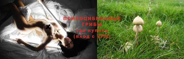кокаин Белокуриха