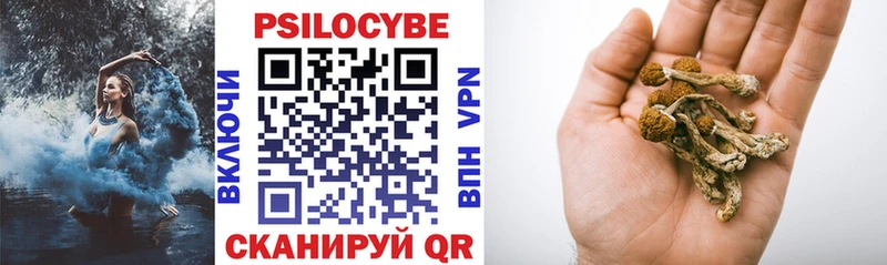 Псилоцибиновые грибы Cubensis  где купить   Староминская 