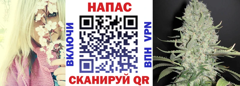 МАРИХУАНА конопля Староминская
